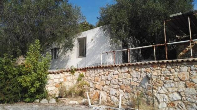 Immobile in asta di 45 m² in vendita a San Giovanni Rotondo - Foto 6
