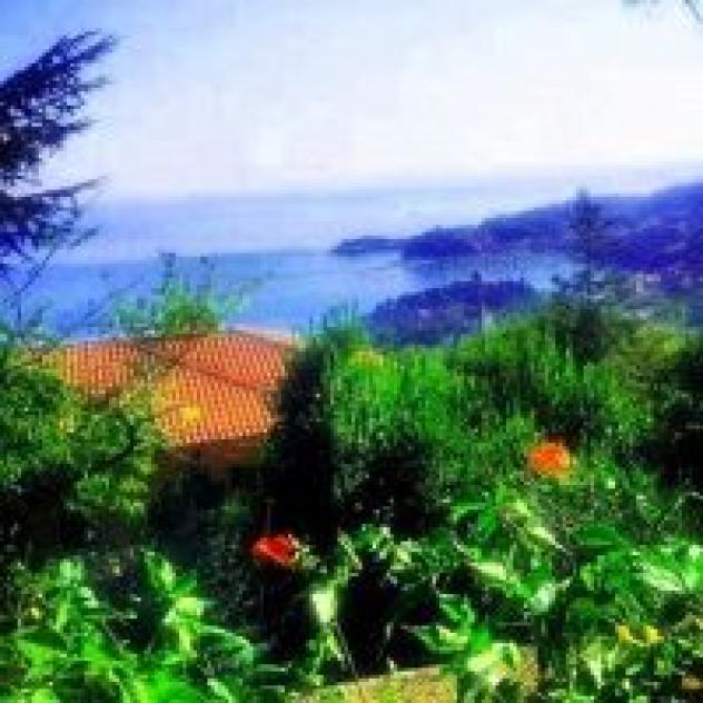 Il Mare nel Bosco