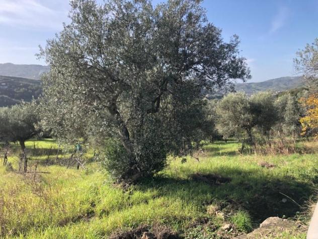 Agricolo in Destre - Foto 5