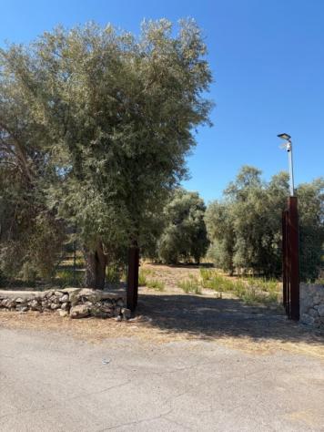 Uliveto di mq 10.000 con rudere in contrada Muraglia Mele