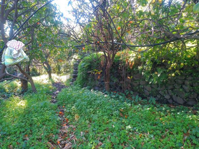 Terreno in vendita a Giarre - Foto 2