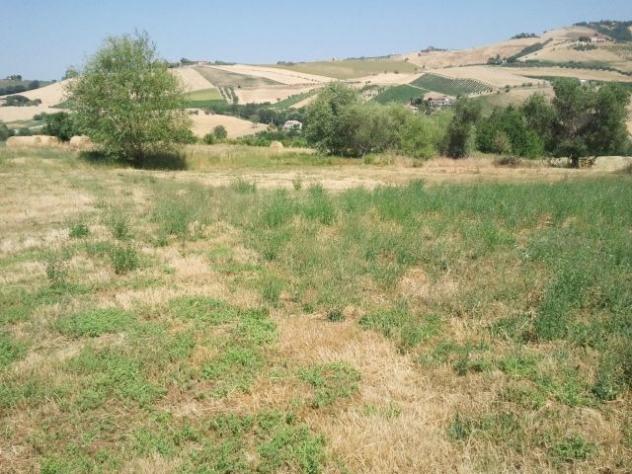 Casale in vendita a Offida - Foto 2