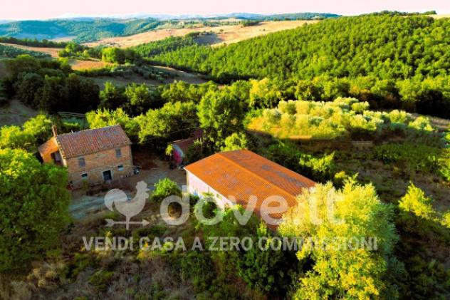 Rustico / Casale di 900 m² con più di 5 locali e box auto in vendita a Pienza - Foto 10