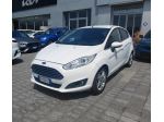 Ford Fiesta 1.5 TDCi 75CV 5 porte Business