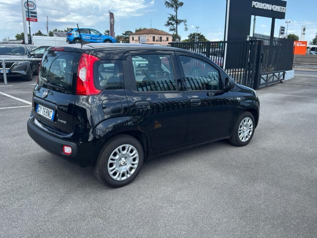 FIAT Panda 1.0 FireFly 70cv S&S Hybrid Pandina - Foto 8