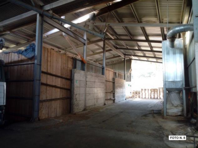Immobile in asta di 11410 m² con più di 5 locali in vendita a Amelia - Foto 8