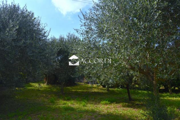 Lotto di terreno a Conegliano in zona collinare con casa indipendente - Foto 10