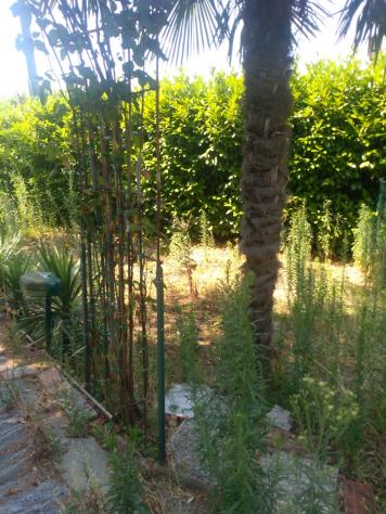 Porzione di casa in vendita a Rovescala - Foto 17