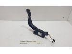 PEDALE ACCELERATORE PEUGEOT 208 Serie 9837891880 (19)