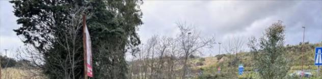 Immobile in asta di 79900 m² in vendita a Feroleto Antico - Foto 6