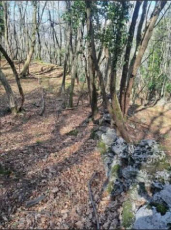 Immobile in asta di 2377 m² in vendita a Rovereto - Foto 3