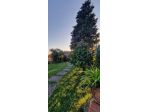 Appartamento in vendita a Sorgnano - Carrara 80 mq  Rif: 1324750