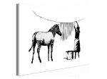 Quadro Zebra Al Lavatoio Cm. 90x60 E 120x80 - ARREDALACASA