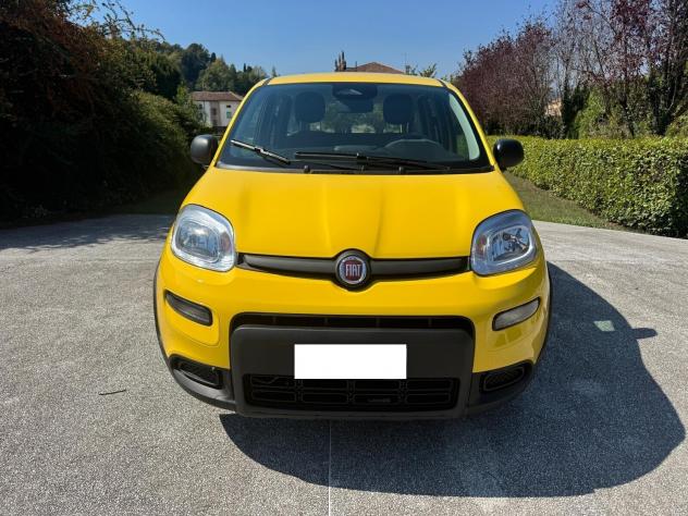 Fiat Panda 1.0 FireFly S&S Hybrid Pandina- 1.516 KM 2024 - Foto 5