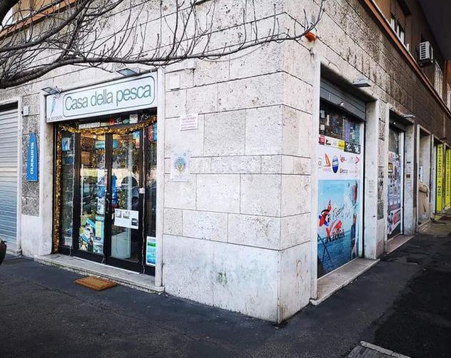 Cipro - Via della Meloria negozio angolare con 3 vetrine - Foto 3