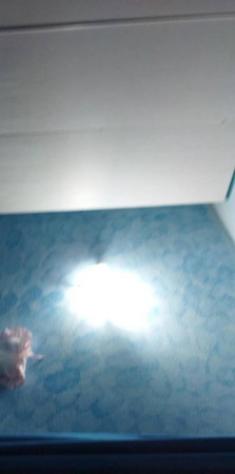 Immobile in asta di 150 m² con più di 5 locali in vendita a Tempio Pausania - Foto 14