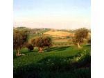 Agriturismo Bio Verde Armonia