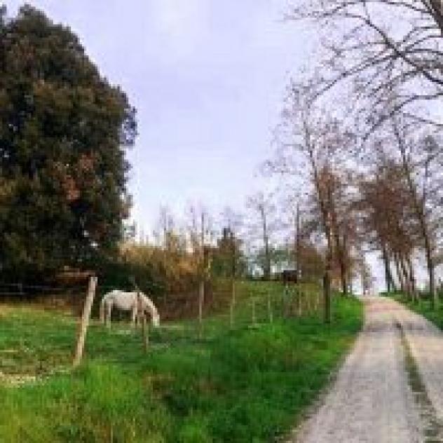 Agrit. Podere Le Tombe - Foto 3