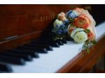 Pianista Stezzano