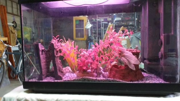 ACQUARIO 60x30x47 - Foto 2