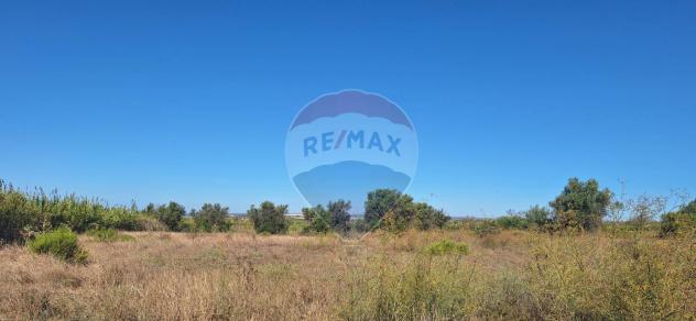 Terreno in vendita a Noto - Foto 5