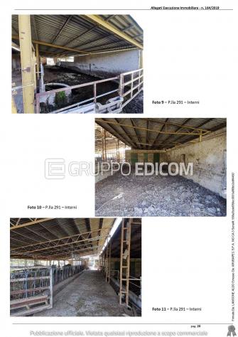 Fabbricati per attività agricole in vendita a Montebuono - Rif. 4547955 - Foto 5