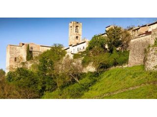 Appartamento in affitto a Colle di Val d'Elsa 50 mq  Rif: 1177984