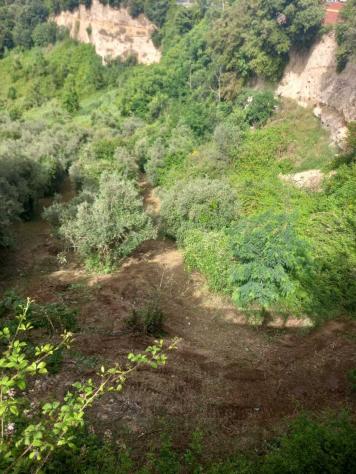 Uliveto in vendita a Morlupo - Foto 5