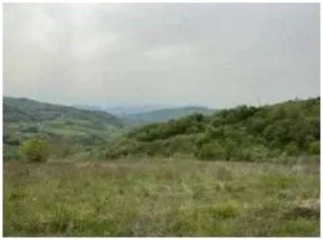 Immobile in asta di 11603 m² in vendita a Ruoti - Foto 7