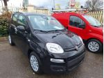 FIAT Panda 1.0 FireFly S&S Hybrid rif. 23770098