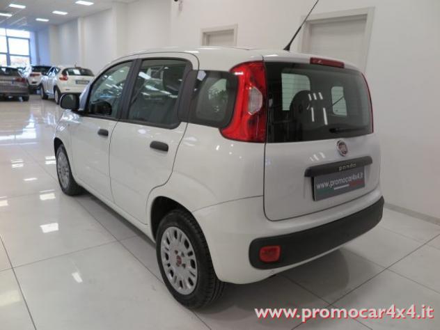 FIAT Panda 1.2 Easy "Solo 64.000 km!!!" Unico Proprietario!!! rif. 24096974 - Foto 6