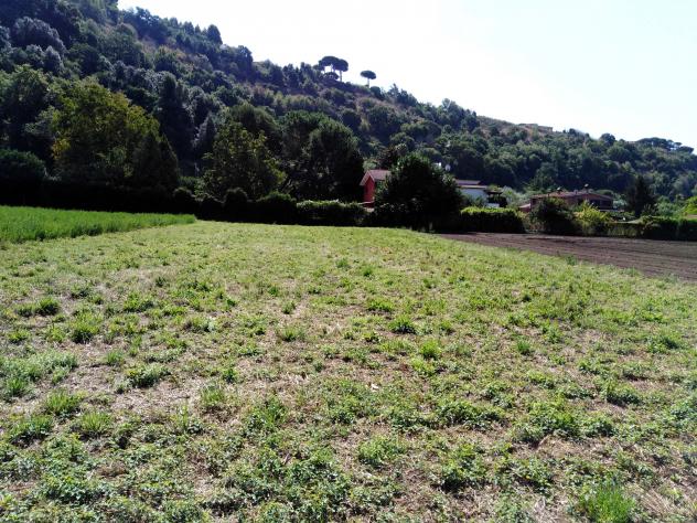 Agricolo in Via della Moletta - Foto 10