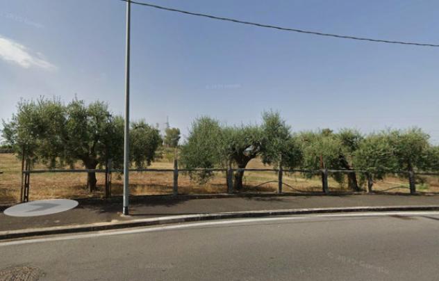 Immobile in asta di 3927 m² in vendita a Roma - Foto 4
