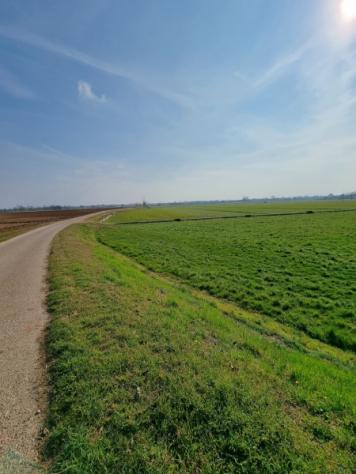VOLTA MANTOVANA TERRENO AGRICOLO VICINO AL CENTRO