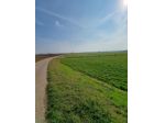 VOLTA MANTOVANA TERRENO AGRICOLO VICINO AL CENTRO