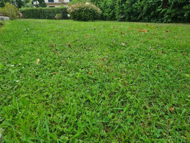 VILLA di 7 vani e di 240 mq (PIETRASANTA) rif. MP887 - Foto 3
