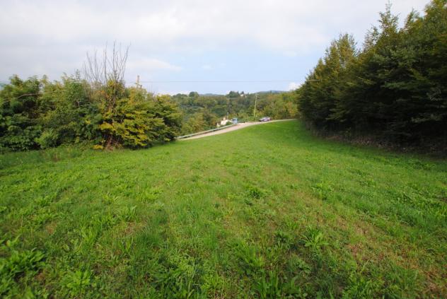 Terreno edificabile in vendita a Cornedo Vicentino - Foto 6