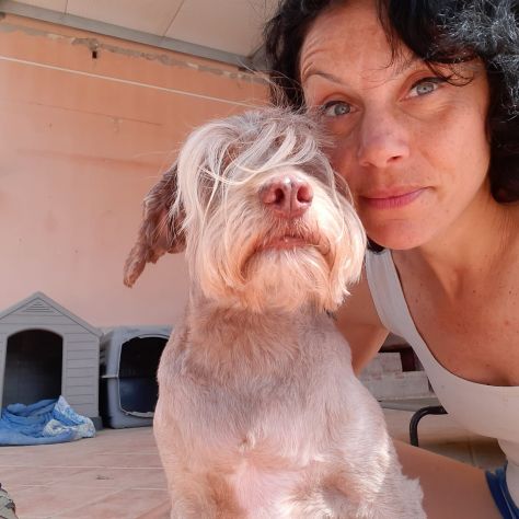 Gigi simil lagotto - Foto 6
