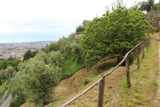 Casale in vendita a San Carlo - Massa 50 mq Rif: 970752 - Foto 3