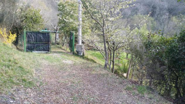 Alassio, terreno di circa 6.000 mq. con progetto per costruire una villa. - Foto 2