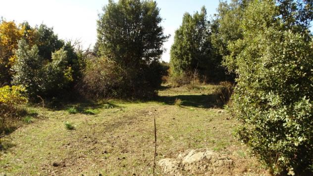 Area verde in vendita a Biancavilla - Foto 16