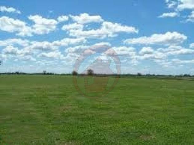 Terreno a Villanova di Camposampiero - Rif. T77 - Foto 4