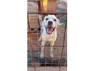 GRETA, 10 MESI (01/12/25), TROVATA AD ELEMOSINARE CIBO E COCCOLE