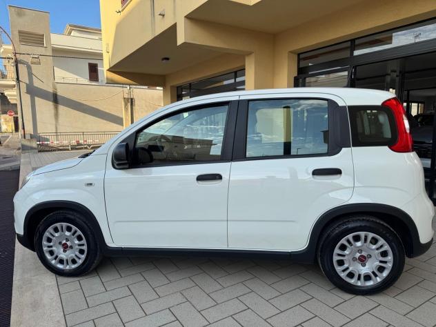 Fiat Panda 1.0 FireFly S&S Hybrid Icon - Foto 5