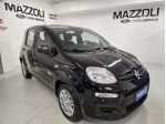 FIAT Pandina 1.0 firefly hybrid Icon s&s 65cv