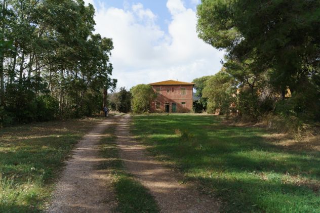 Magliano in Toscana, Podere Pantanella unione di passione e buon gusto - Foto 5