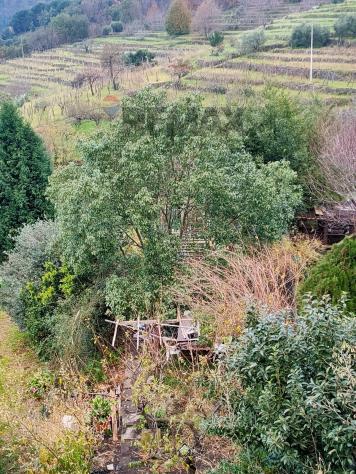 Casa Indipendente in vendita a Sant'Alfio - Foto 17