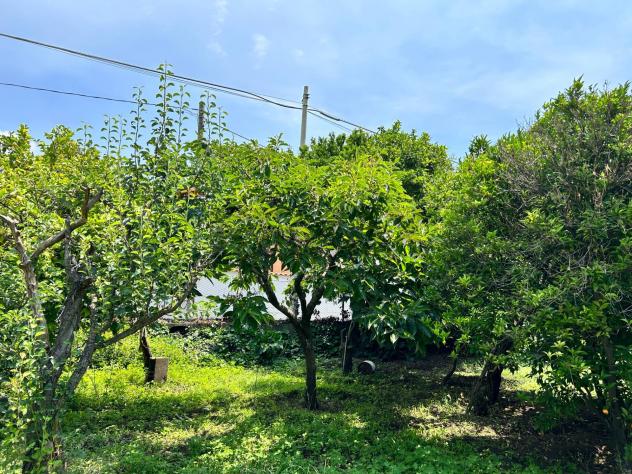Terreno in vendita a Aci Sant'Antonio - Foto 14