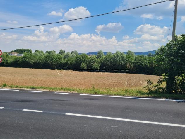 Seminativo in vendita a Albettone - Foto 2