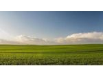 Terreno agricolo in vendita a Collesalvetti 6192 mq  Rif: 1398642